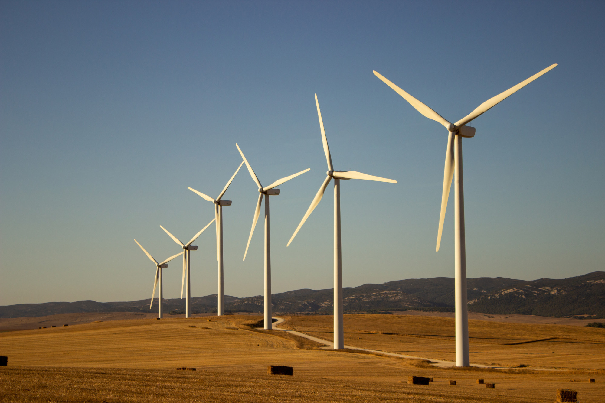 Renewable Energy Recruitment